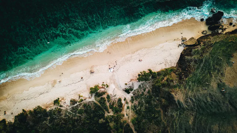 Waves rolling onto a beach below a wooded cliff, seen from above