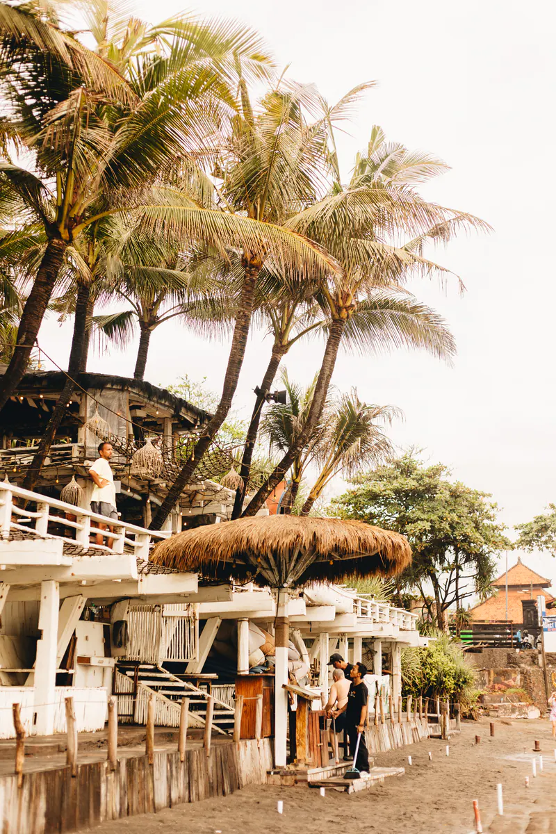 A beach bar with a thatched roof under palm trees