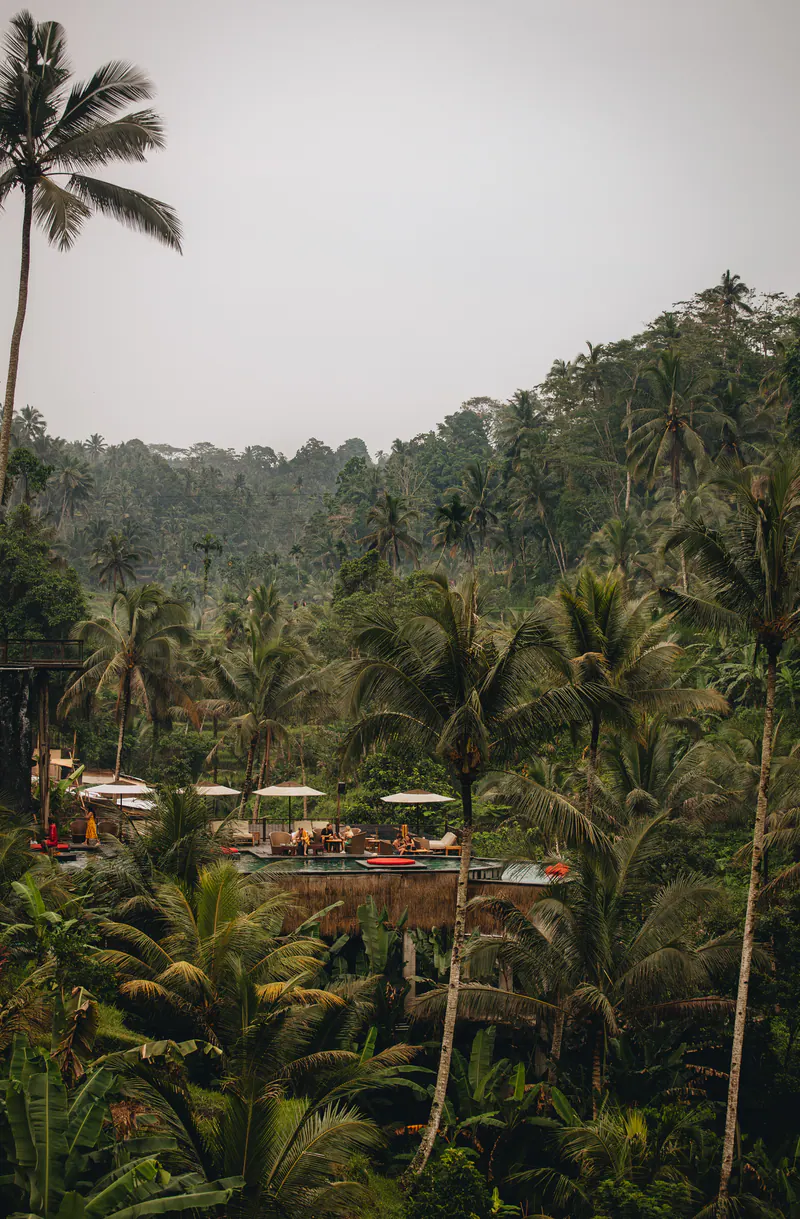 A pool with red parasols deep in a jungle valley