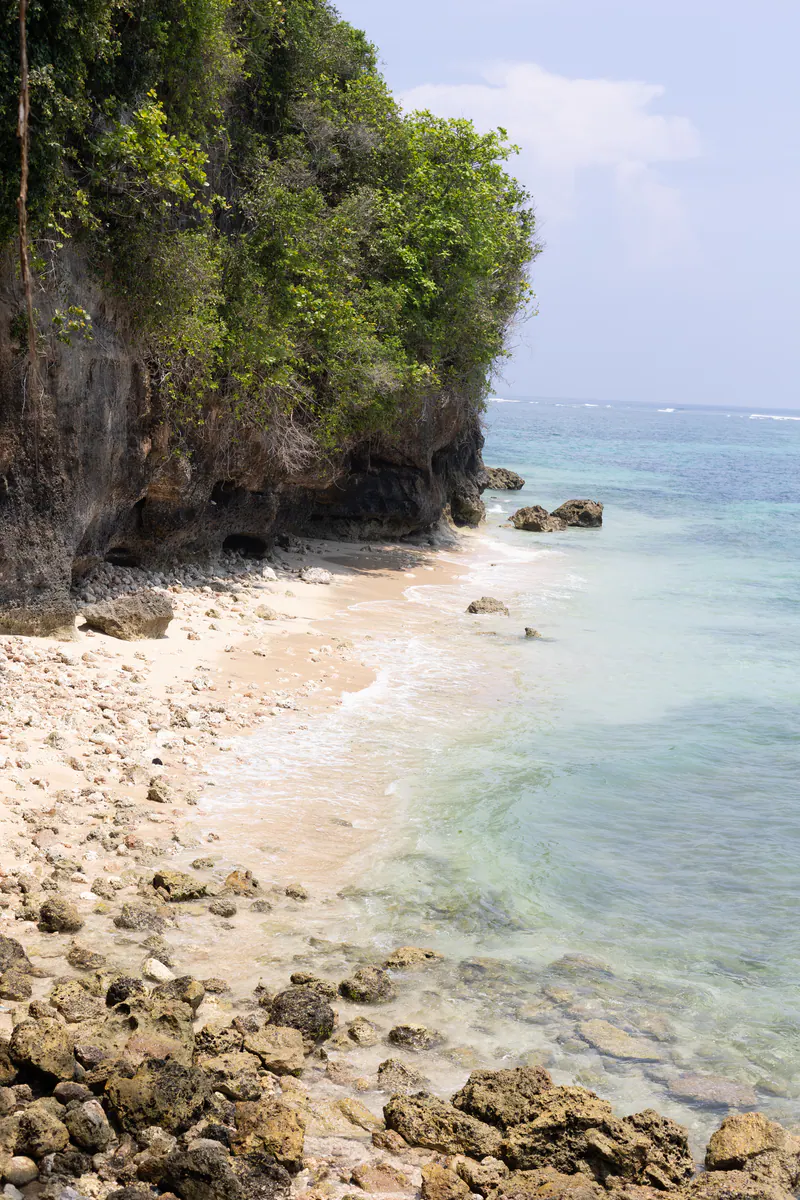 A rocky beach below an overgrown cliff, with pale blue water