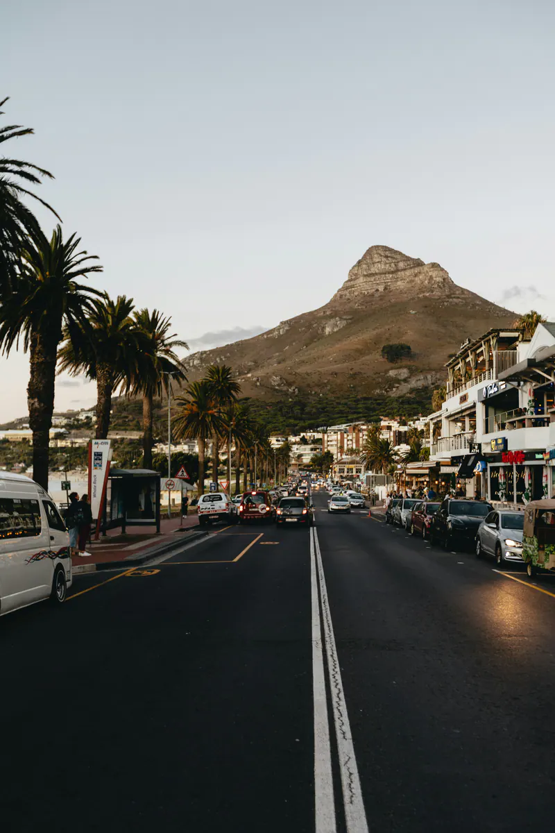 A palm-lined road leading towards a pointed peak