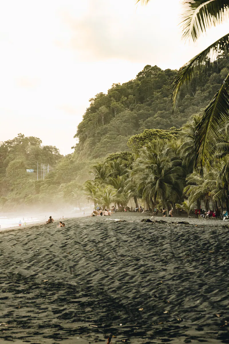 A dark sand beach in hazy evening light, with palms and a forested hill behind