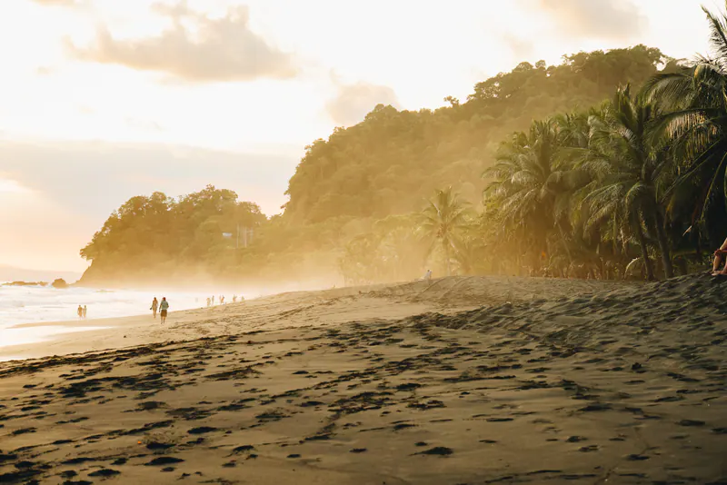Footprints across a beach glowing in low sun, with misty forest behind