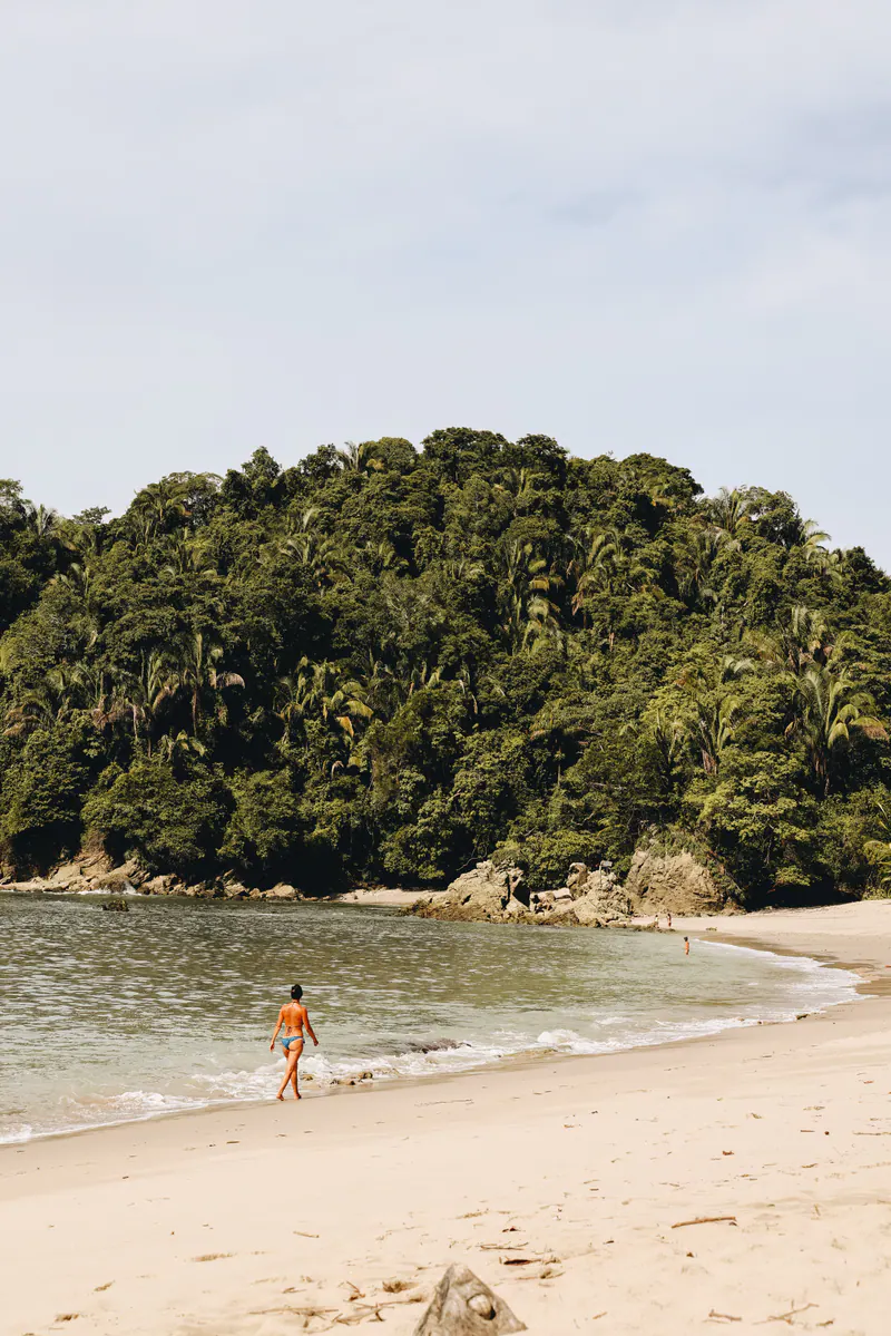 A swimmer in orange walking out of the sea in a forested cove