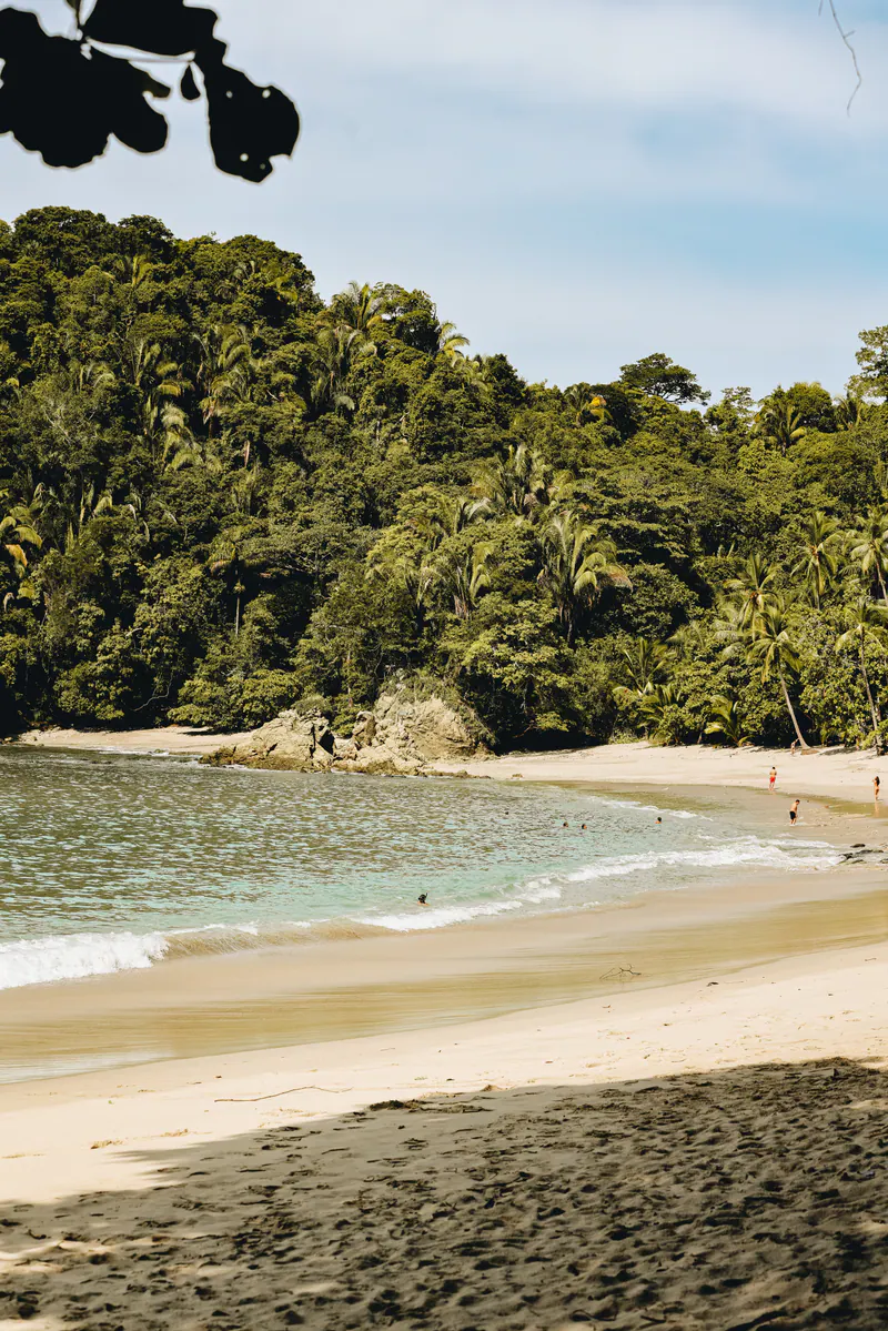 A sheltered cove with green water and jungle down to the sand