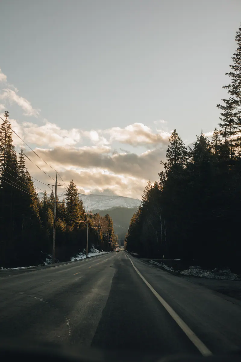 An empty road between dark firs, with clouds over the mountains ahead